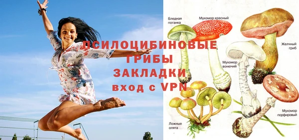 Альфа ПВП Армянск