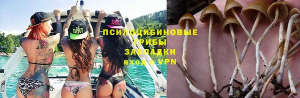 Альфа ПВП Армянск