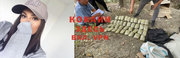 Альфа ПВП Армянск